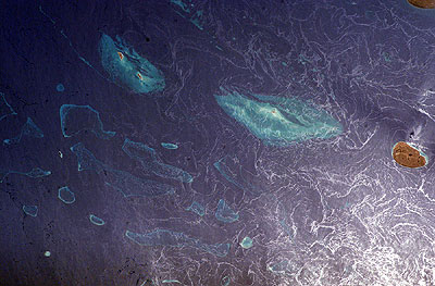 Red sea, coral reefs